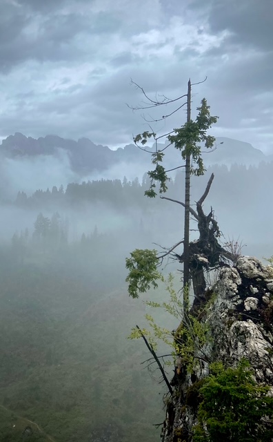 Zen.nl, Zen, meditatie, leren mediteren, foto